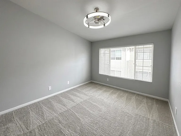 3712 Cactus Creek Ct — Photo 8