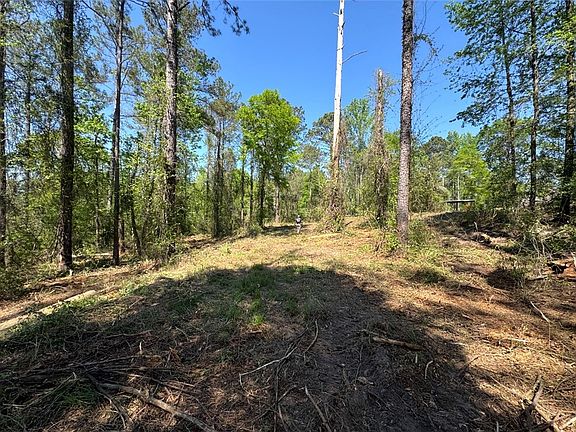 5th image of 1300 Sandhill Rd