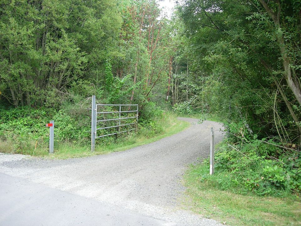 Entry Driveway