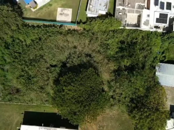 Bo Algarrobo Carr 3 Ave, Guayama, PR 00784