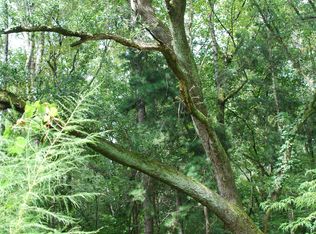 0 Pelican Ln, Summerville, SC 29485