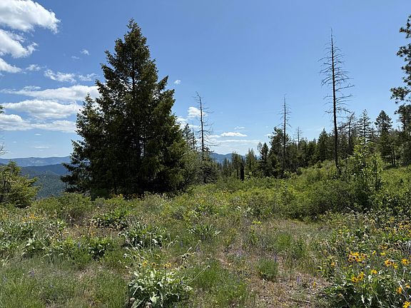 23rd image of 3774C Daisy Mine Rd