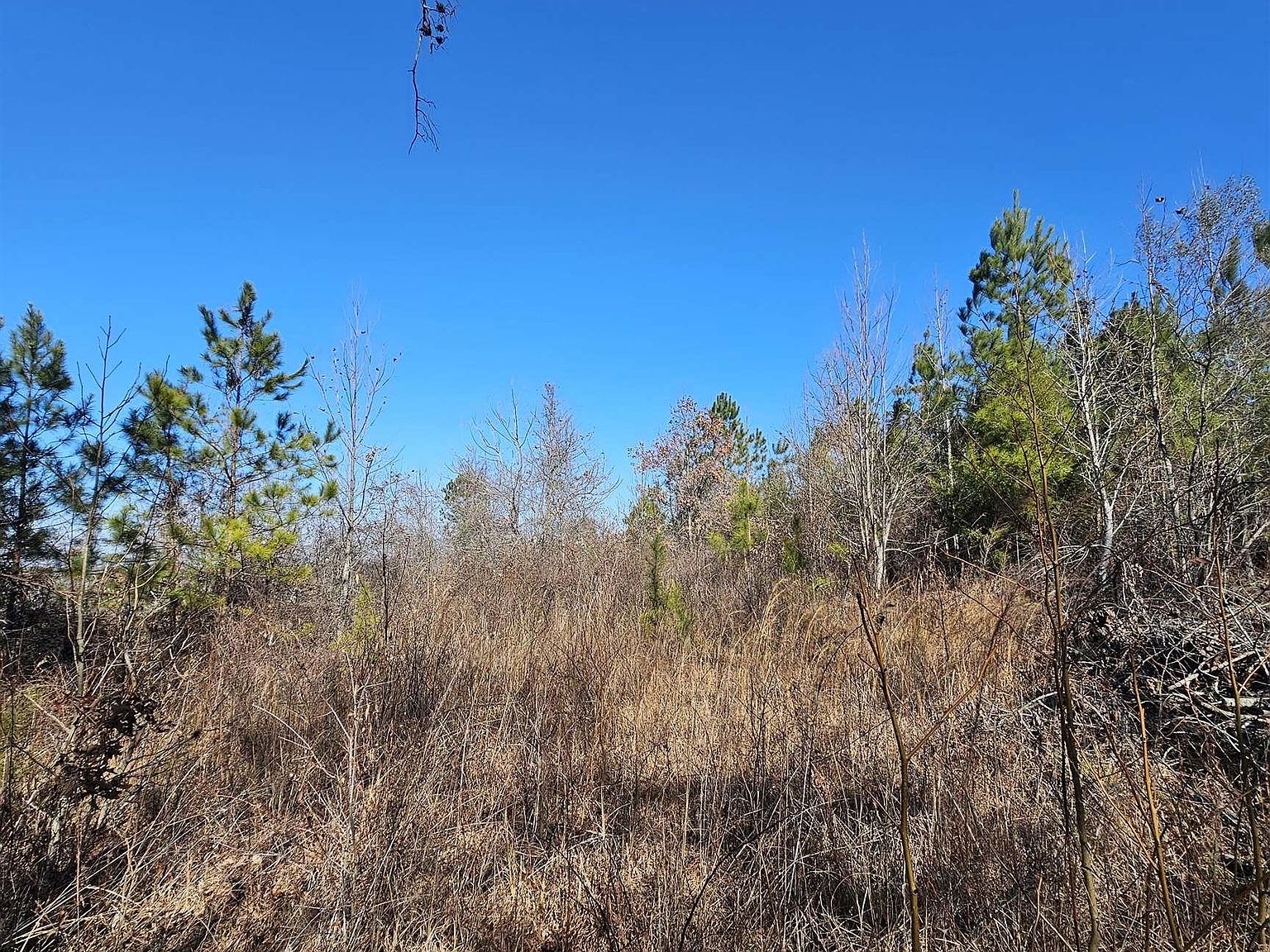 0 County Road 138, Jemison, AL 35085 Zillow