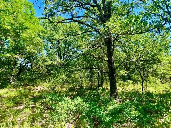 39 Kilkenny Rd, Poolville, TX 76487