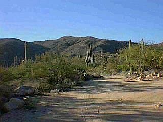 3rd image of 2660 N Corte Canyon Del Salto Unit 0