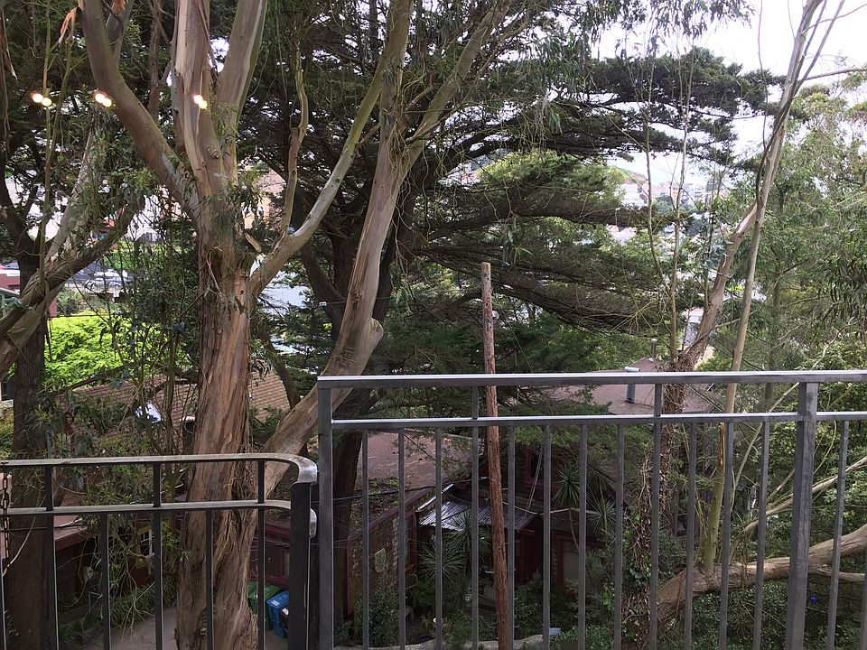 Woodsy View