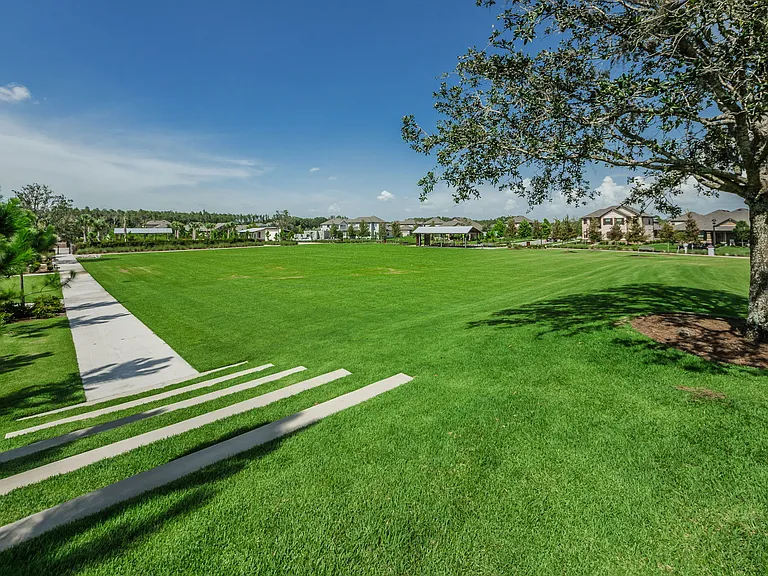 79-web-or-mls-30-Whitfield Park_06112026