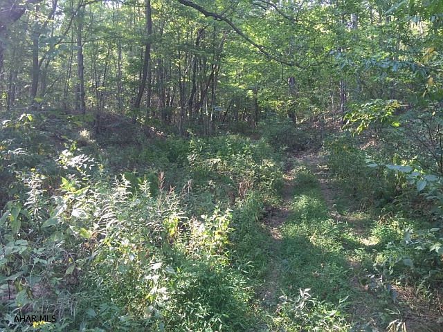 2nd image of 2672 Bard Hollow Rd