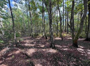 0 Bruen St, Saint Augustine, FL 32084