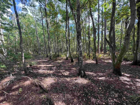 0 Bruen St, Saint Augustine, FL 32084