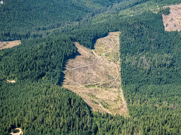 Cedar Flat Rd, Williams, OR 97544