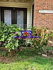3021 Chase Ln #1