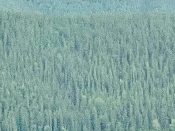 Dieringer Ave, Fairbanks, AK 99712