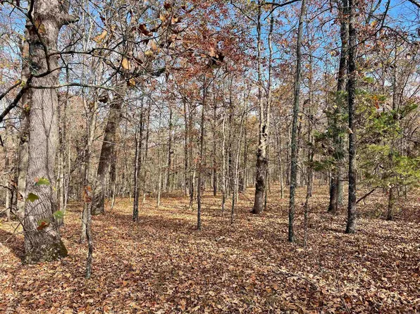 (undisclosed Address), Dennard, AR 72629