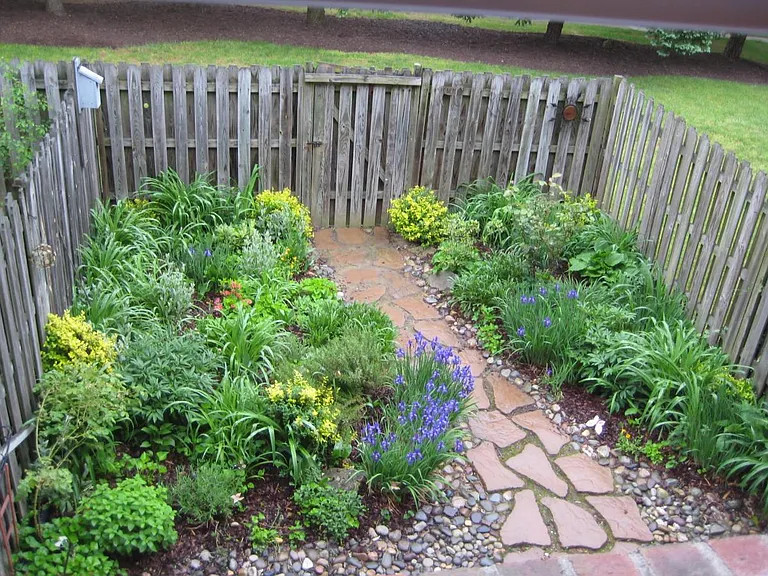 back yard/garden