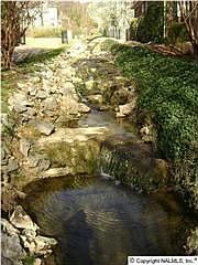 1st image of 2108 Raincreek Trl NE