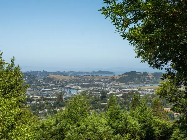 10 Fire Road, Larkspur, CA 94939