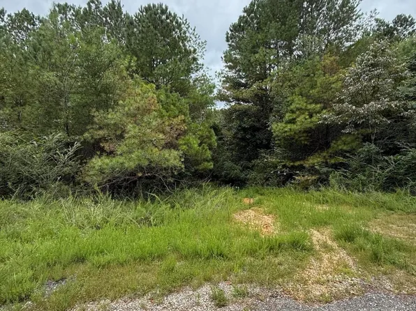 0 County Road 3063, Double Springs, AL 35553