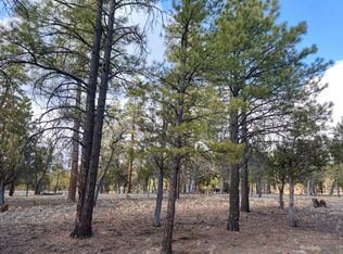 4517 Durango Dr, Happy Jack, AZ 86024