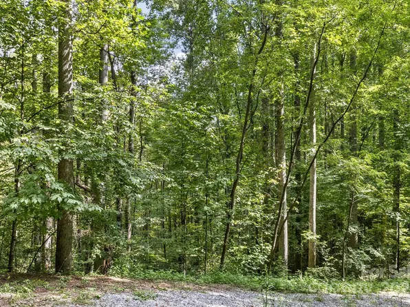 9999 Flowing Brook Ln Lot 5, Waynesville, NC 28786