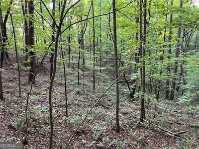 1720 Rebekah Ridge Rd, Talking Rock, GA, 30175