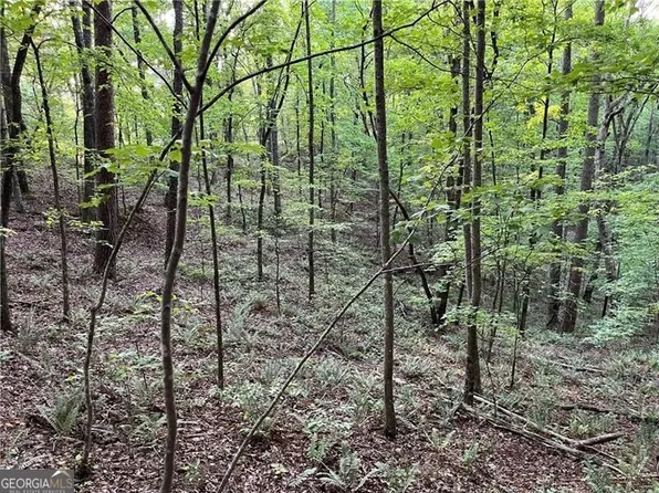 1720 Rebekah Ridge Rd, Talking Rock, GA 30175