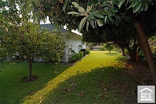 4th image of 9916 Emerado Dr