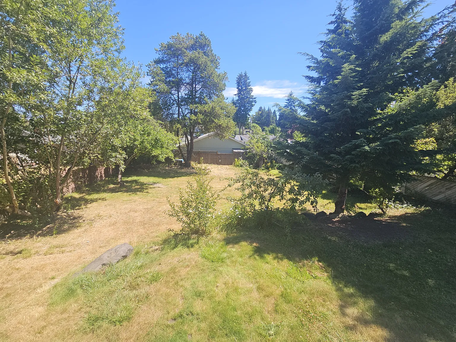 3 bed, 1.5 bath, 1100 sqft, $3,100 — Photo 4