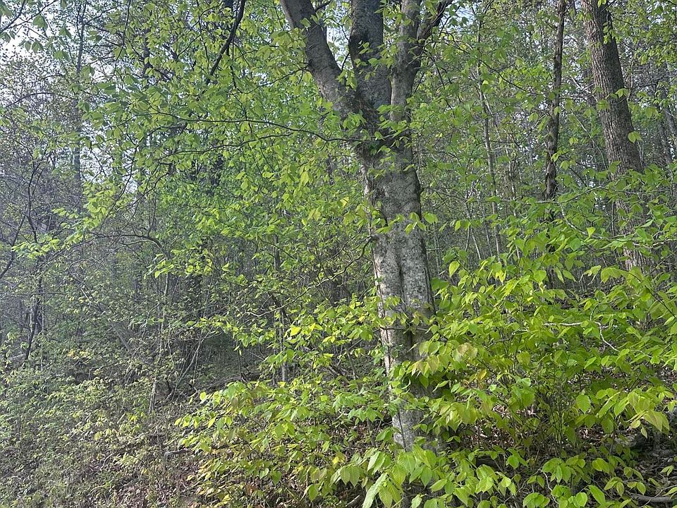 2nd image of 0 Lower River Rd