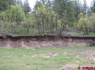 210 Crooked Rd, Pagosa Springs, CO 81147