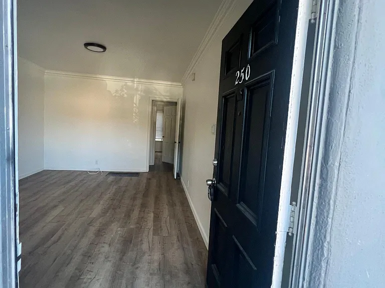 250 Witmer St #250 — Photo 9