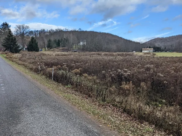 0 Irish Hill Rd Parcel A, Delhi, NY 13753