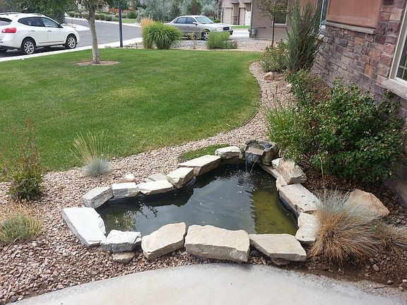 Pond