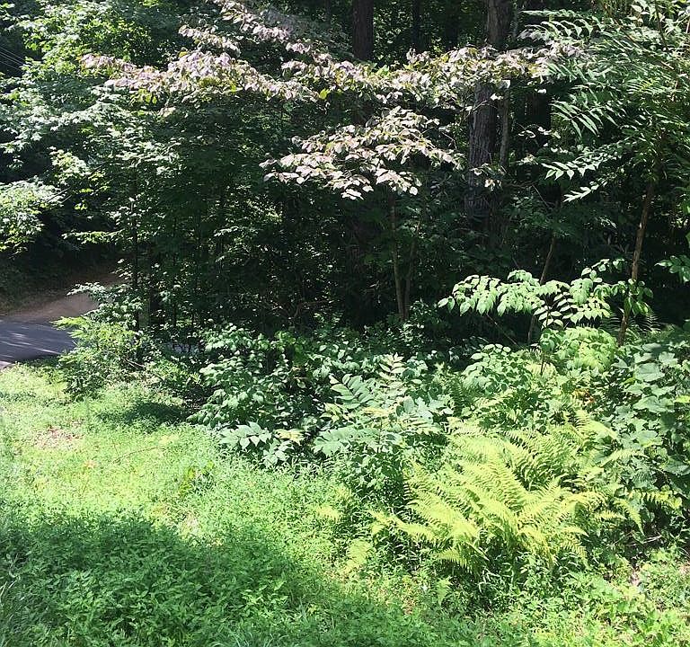 1st image of 0 Silver Poplar Ln