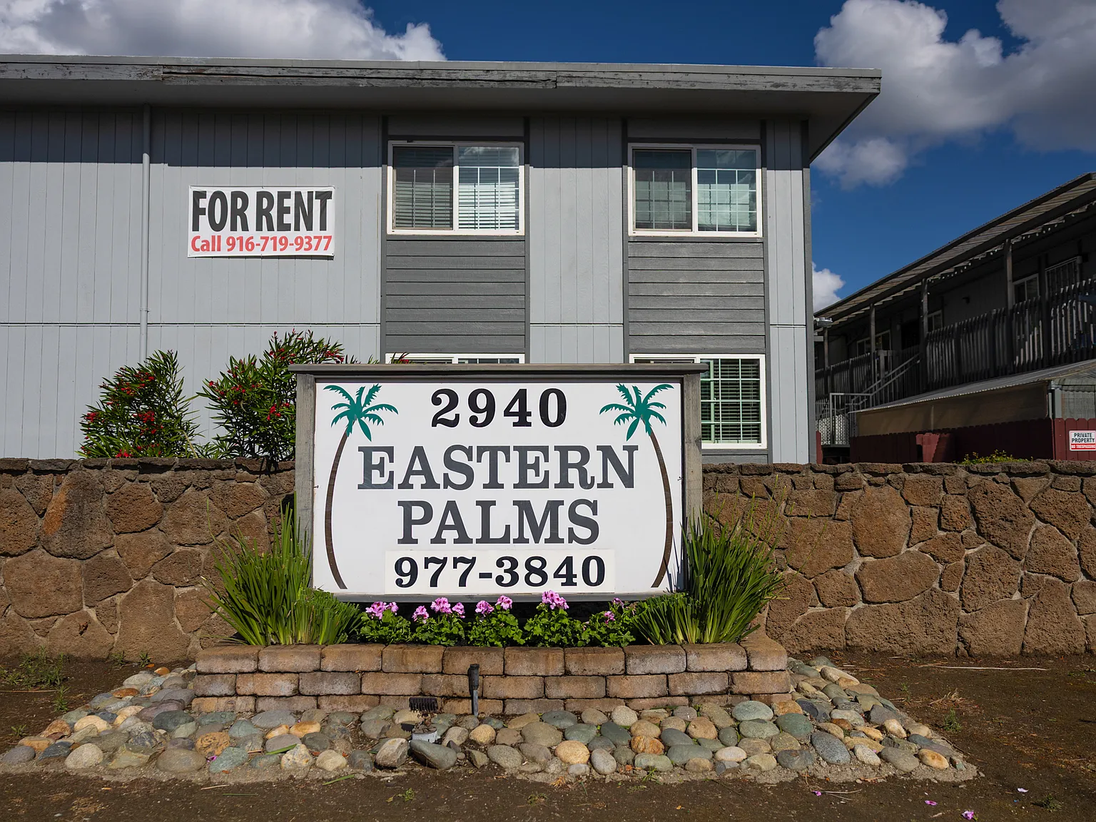 Eastern Palms — Photo 1