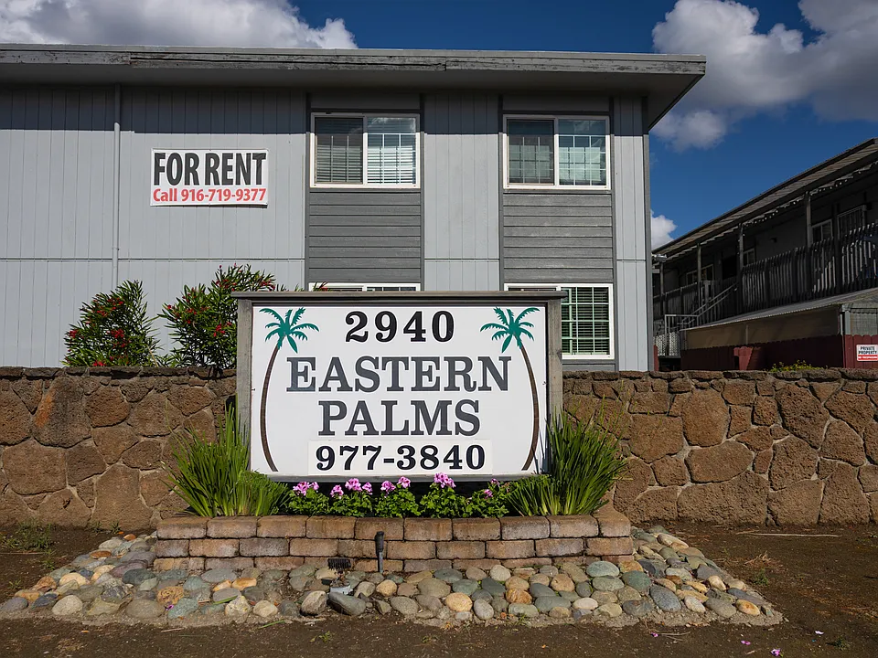 Eastern Palms