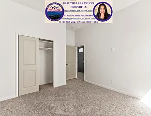 3652 Springhaven Loop — Photo 15