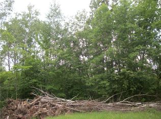 LOT Arcadia Place 30th Avenue Ave LOT 104, Birchwood, WI 54817