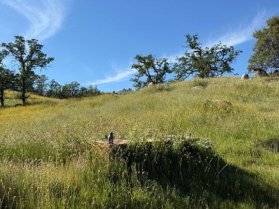 5th image of Sierra Drive