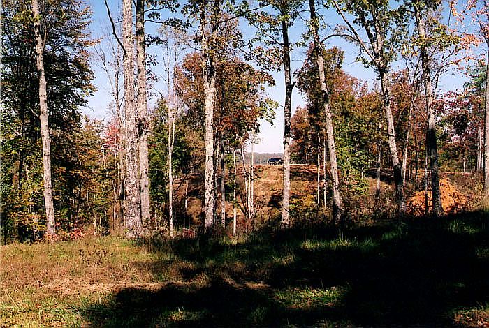 2nd image of Indian Mound Rd