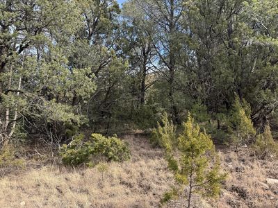 103 Agua Fria Dr, Ruidoso Downs, NM, 88346