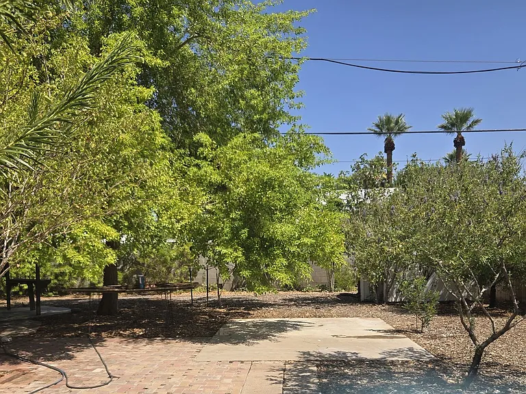 1406 E Earll Dr — Photo 19