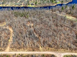 9220 W Scout Trl, Winter, WI 54862