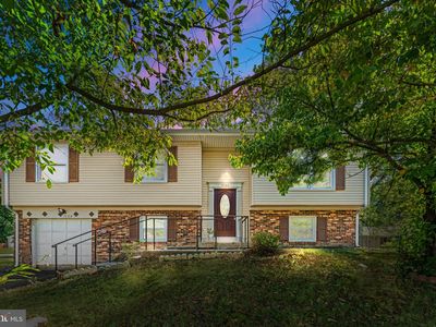 7124 Whetstone Rd, Alexandria, VA, 22306
