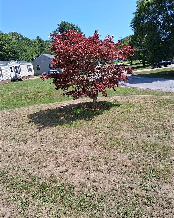 2nd image of 29 Brooks Road Ext