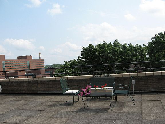 rooftop patio