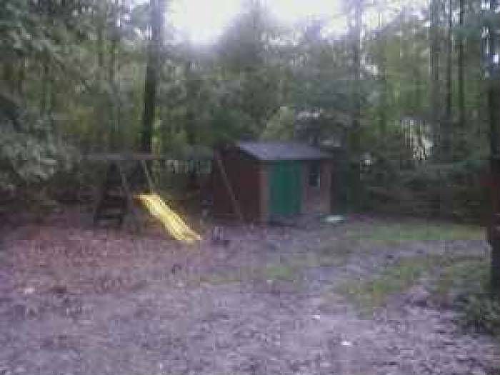 back yard