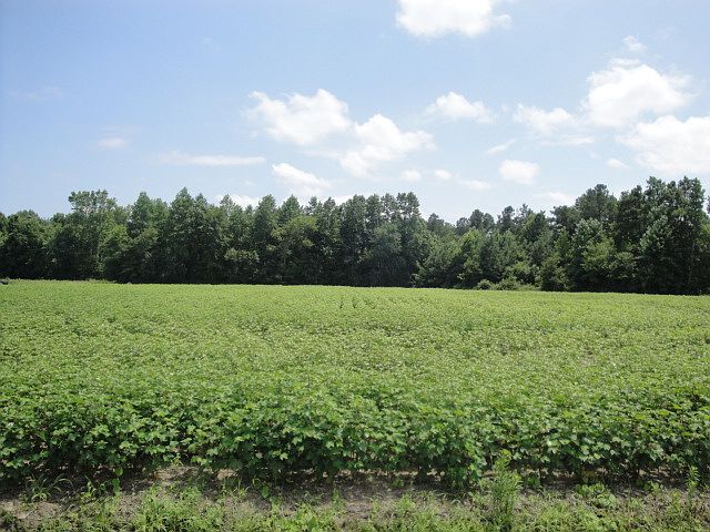 1st image of 7.14 Acres Vicksburg Road