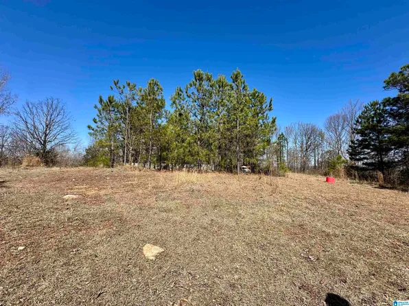 0 Blue Ridge Dr #0, Talladega, AL 35160
