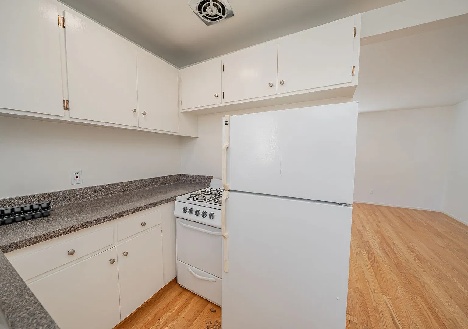 354 Vernon Street — Photo 3